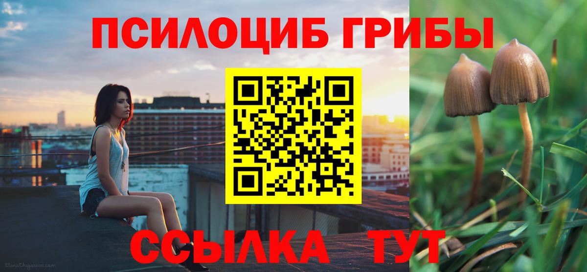 Галлюциногенные грибы MAGIC MUSHROOMS  Вход с VPN  Кировск 